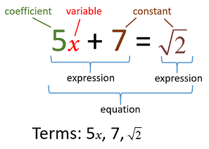 algebra algebraic terms expressions coefficients vocabulary expression variables constants examples basic equations parts vocab rules explanations worksheets onlinemathlearning solutions mathematics