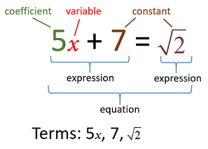 constants and variables in math