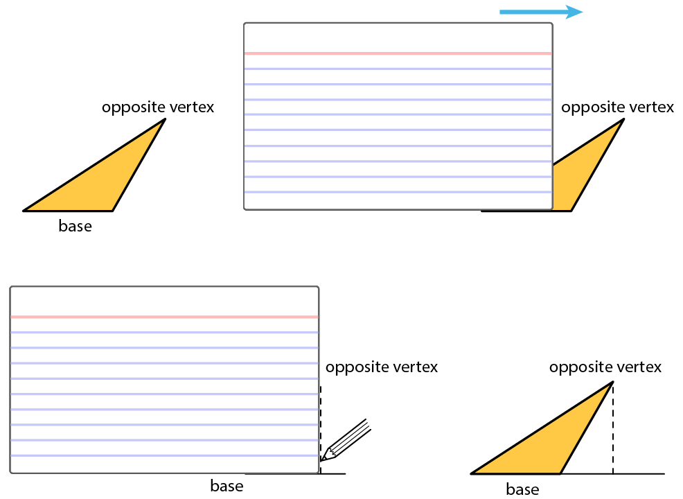 Bases and Heights of Triangles