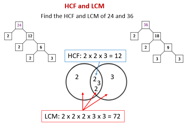 HCF LCM video Lessons Examples Step by step Solutions 