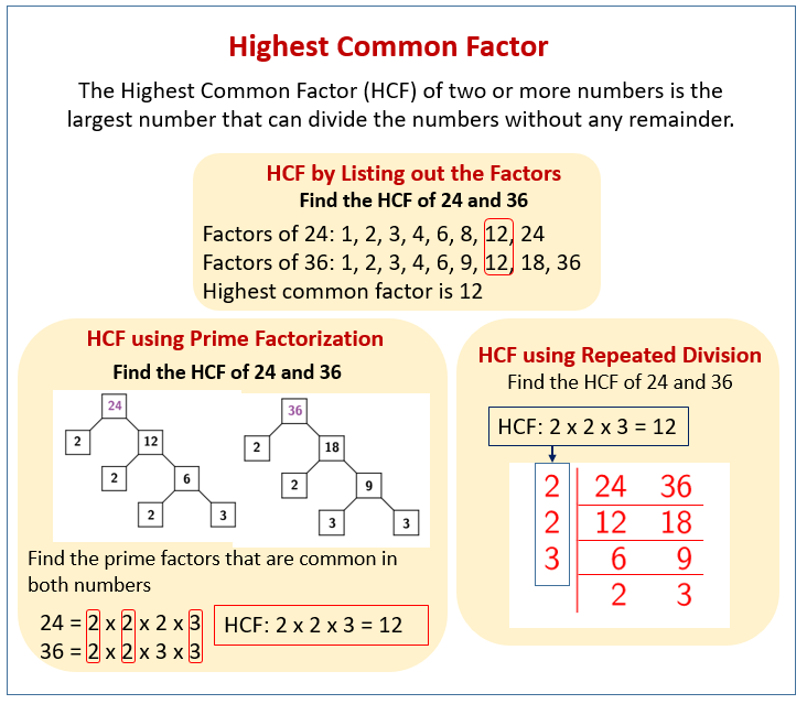 What Is The Highest Common Factor Explained For Prima - vrogue.co