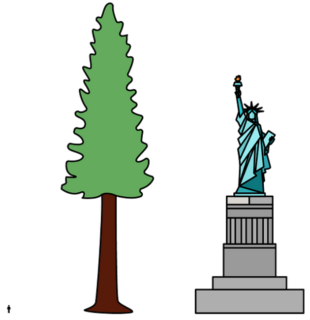 Estimate height of Hyperion