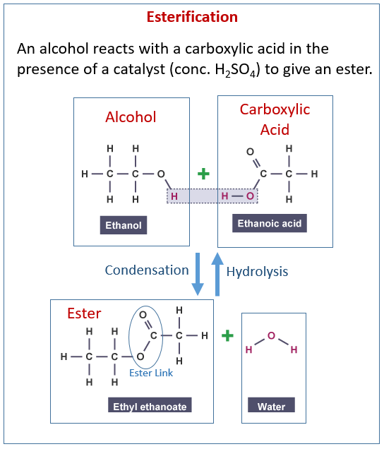 Alcohol, Carboxylic acids, Esters