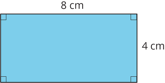 A rectangle 8 cm by 4 cm.