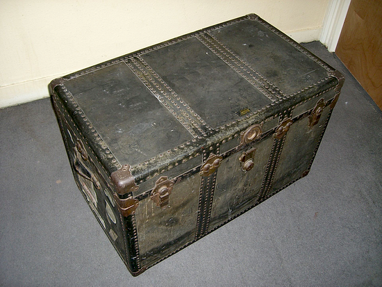 A photo of a trunk sourced from Wikimedia Commons.