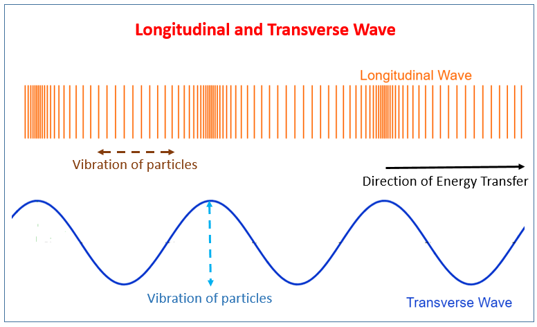 Source: https://www.onlinemathlearning.com/transverse-longitudinal-wave.html