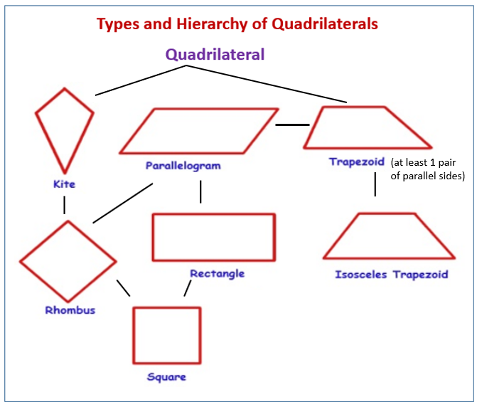 Types and Hierarchy of Quadrilaterals