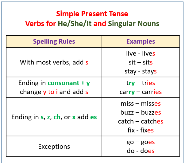Verbs Present Tense with Examples Videos 